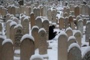 Douma, Syria Graveyard