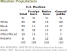 racial_composition_us_muslim_population_2011